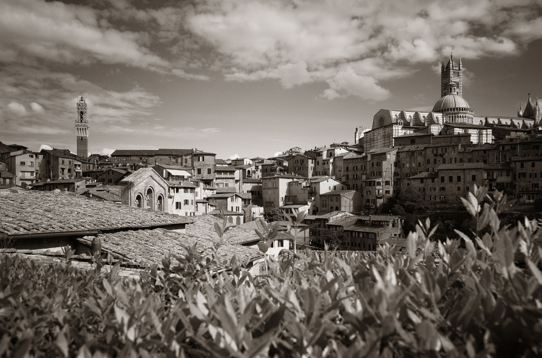 Bergamo - SAC x AMI Produktionsort Landschaft