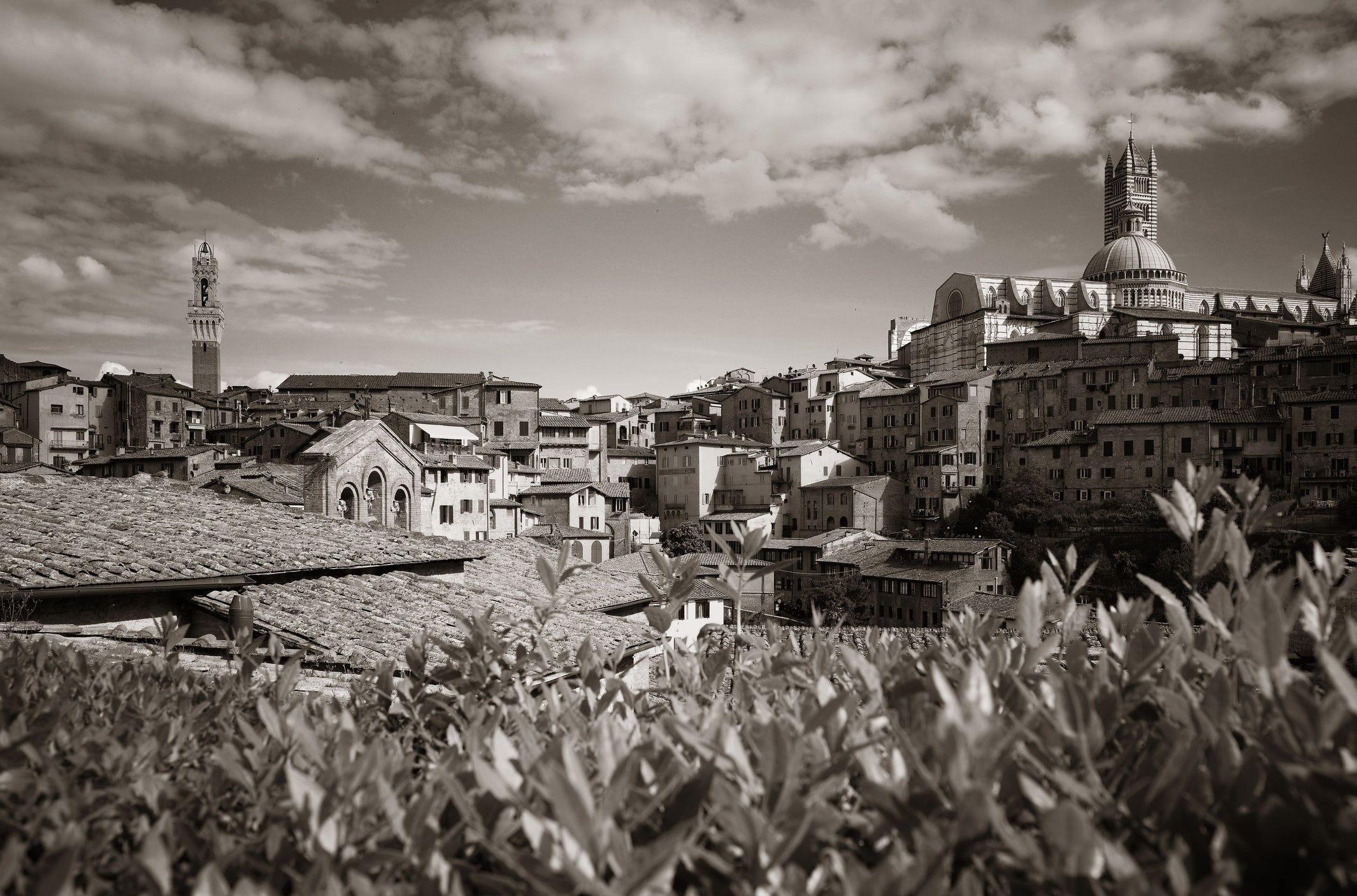 Bergamo - SAC x AMI Produktionsort Landschaft